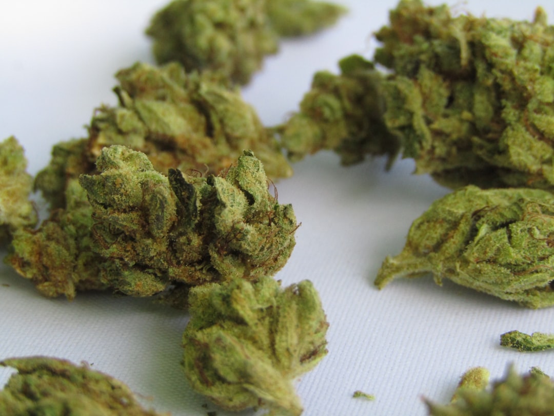 Exploring the Layer Cake Strain: A Deliciously Potent Indica